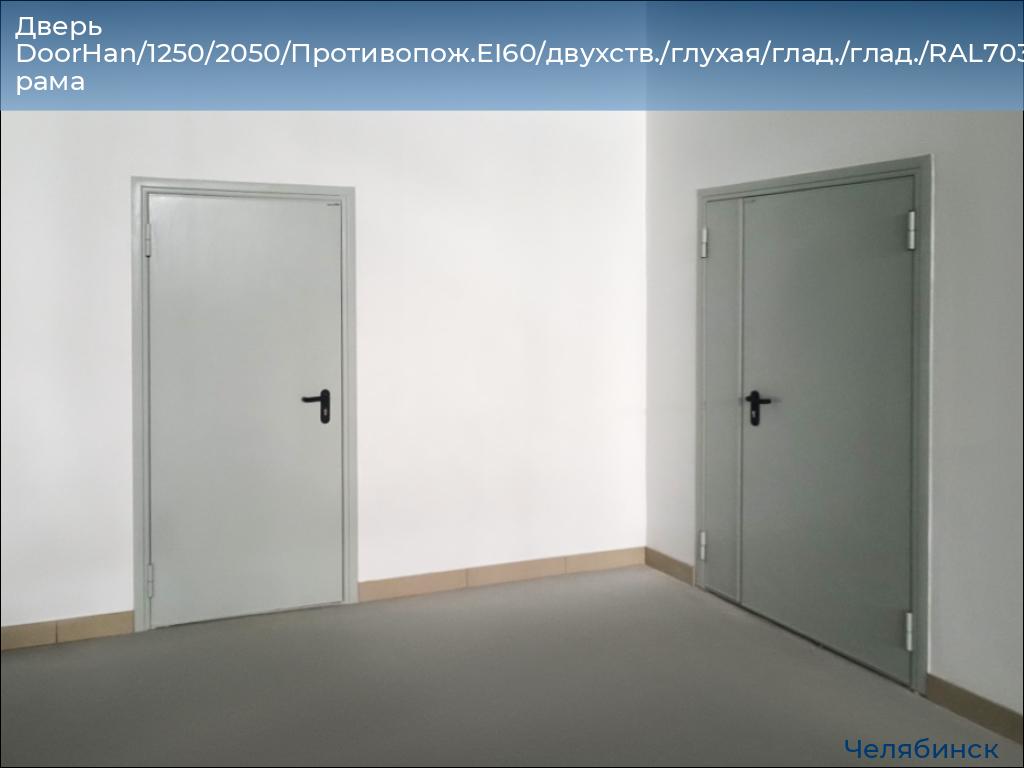 Дверь DoorHan/1250/2050/Противопож.EI60/двухств./глухая/глад./глад./RAL7035/лев./угл. рама, chelyabinsk.doorhan.ru