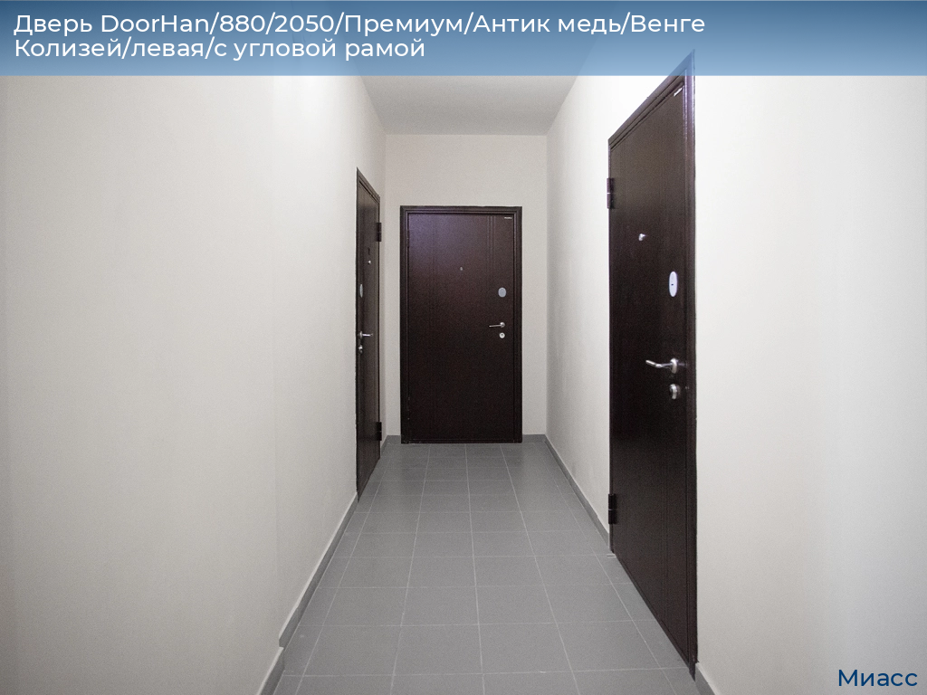 Дверь DoorHan/880/2050/Премиум/Антик медь/Венге Колизей/левая/с угловой рамой, miass.doorhan.ru
