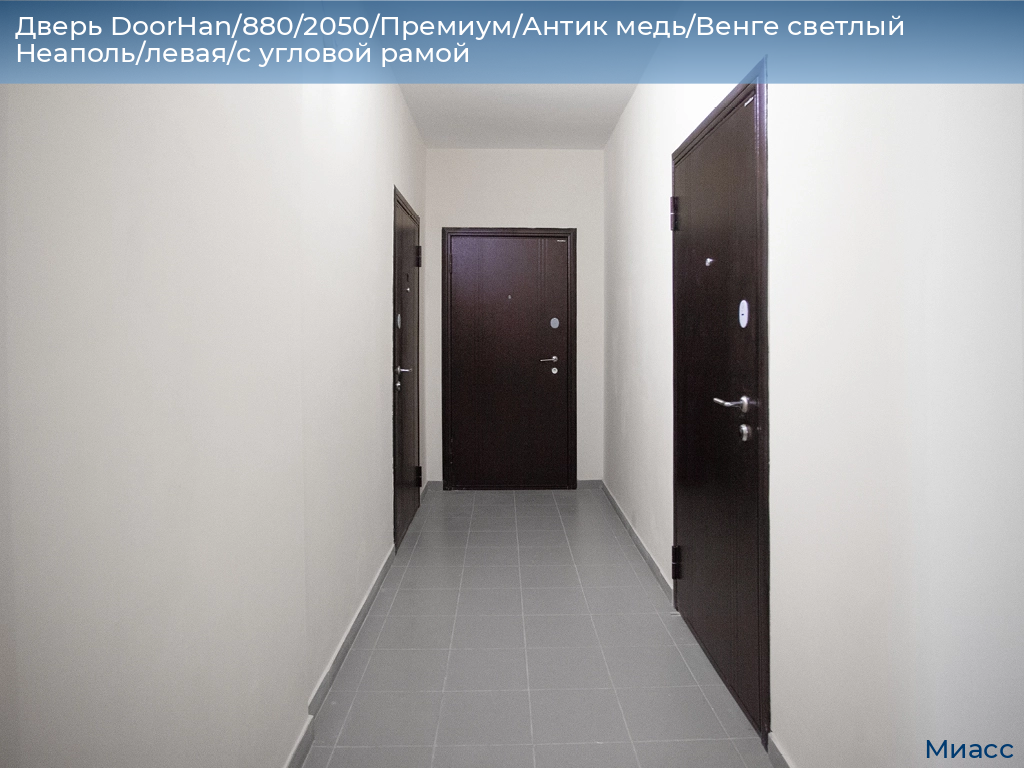 Дверь DoorHan/880/2050/Премиум/Антик медь/Венге светлый Неаполь/левая/с угловой рамой, miass.doorhan.ru