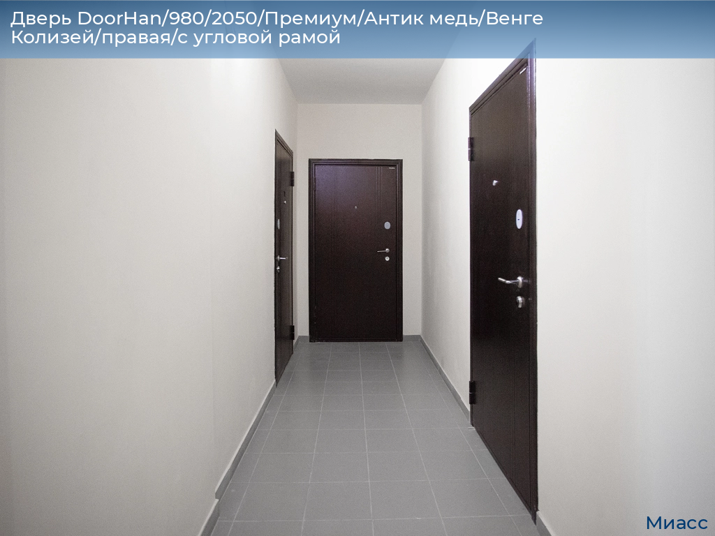 Дверь DoorHan/980/2050/Премиум/Антик медь/Венге Колизей/правая/с угловой рамой, miass.doorhan.ru