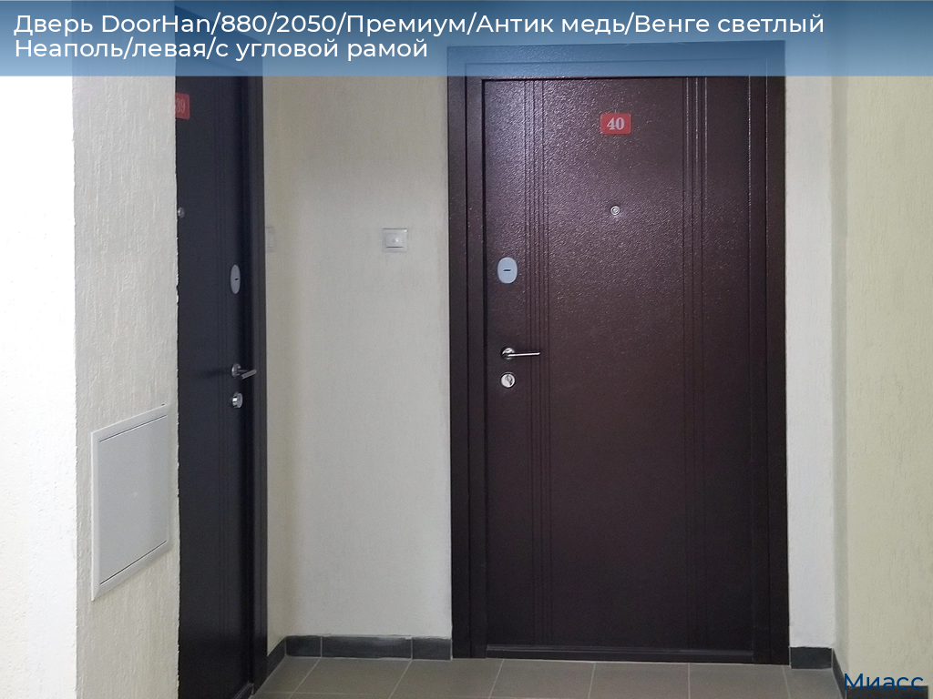Дверь DoorHan/880/2050/Премиум/Антик медь/Венге светлый Неаполь/левая/с угловой рамой, miass.doorhan.ru